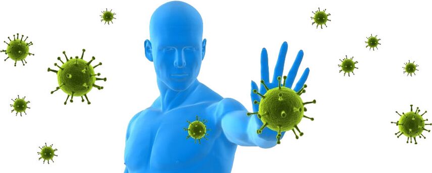 Sistema immunologiko sendoa