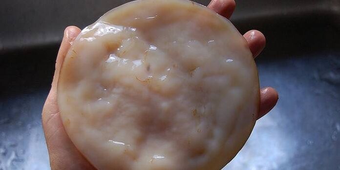 Kombucha iltze onddoetarako